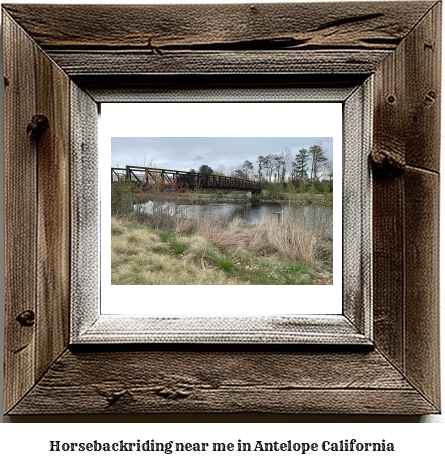 horseback riding near me in Antelope, California